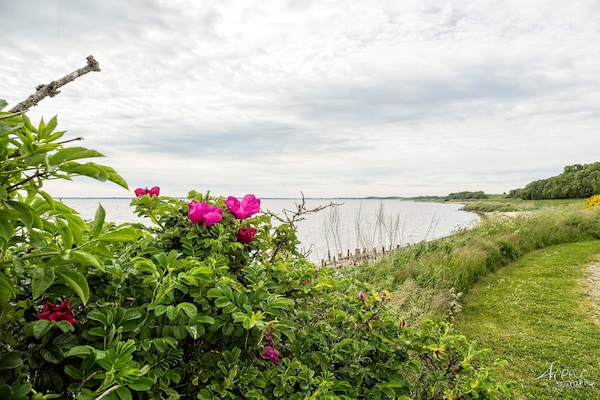 Foto van 5 Personen vakantie huis in Roslev - Vakantiehuis in Roslev - WaterView