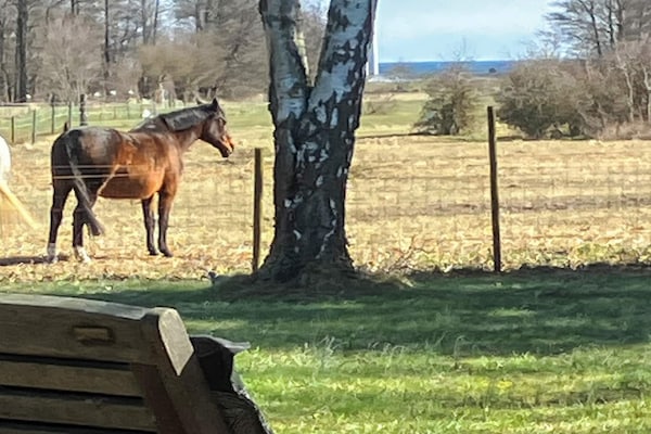 Foto van 6 Personen vakantie huis in LÖTTORP - Vakantiehuis in LÖTTORP - Outdoor