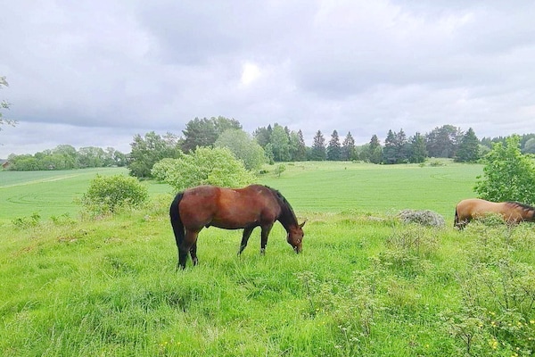 Foto van 4 sterren vakantie huis in UPPSALA - Vakantiehuis in UPPSALA - Outdoor