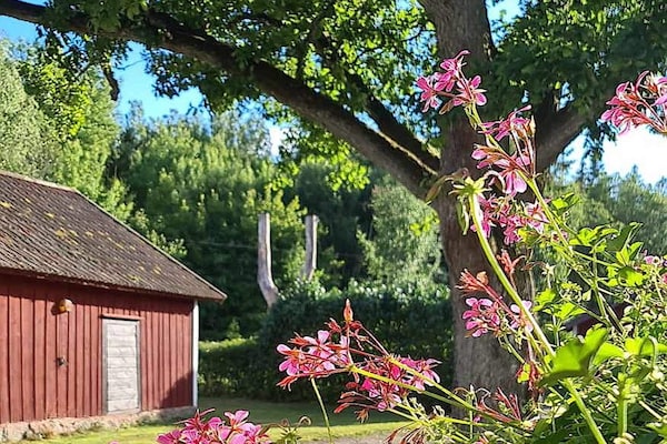 Foto van 4 sterren vakantie huis in UPPSALA - Vakantiehuis in UPPSALA - Outdoor