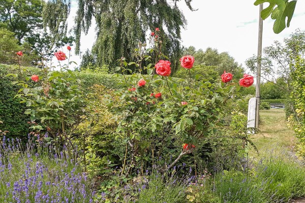 Foto van 6 Personen vakantie huis in Samsø - Vakantiehuis in Samsø - Outdoor