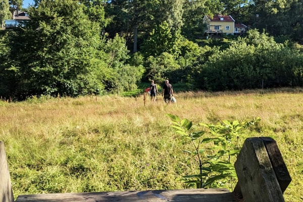 Foto van 4 Personen vakantie huis in INGARÖ - Vakantiehuis in INGARÖ - Untagged