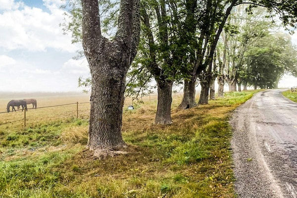 Foto van 4 Personen vakantie huis in ADELSÖ - Vakantiehuis in ADELSÖ - Outdoor