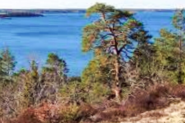 Foto van 5 sterren vakantie huis in Nävekvarn - Vakantiehuis in Nävekvarn - Untagged