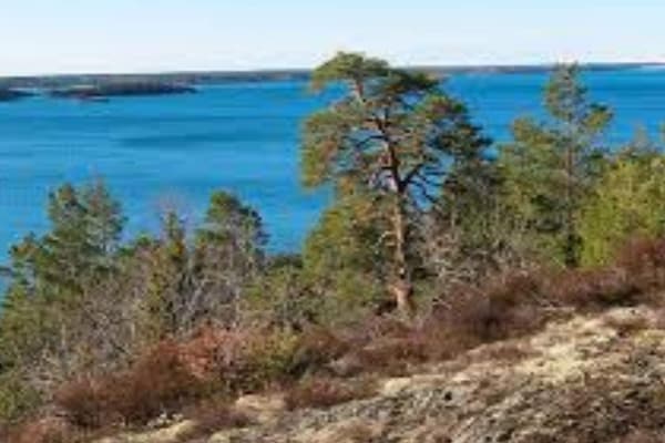 Foto van 5 sterren vakantie huis in Nävekvarn - Vakantiehuis in Nävekvarn - Outdoor