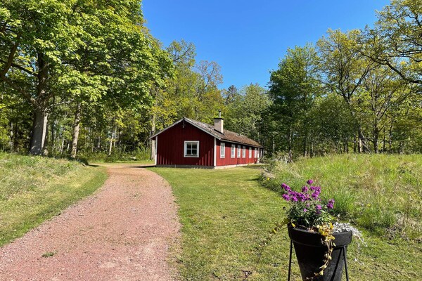 Foto van 6 Personen vakantie huis in ROCKNEBY - Vakantiehuis in ROCKNEBY - Outdoor
