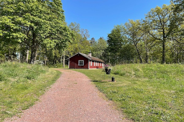 Foto van 6 Personen vakantie huis in ROCKNEBY - Vakantiehuis in ROCKNEBY - Outdoor