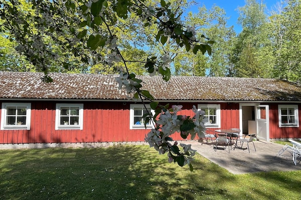 Foto van 6 Personen vakantie huis in ROCKNEBY - Vakantiehuis in ROCKNEBY - Outdoor