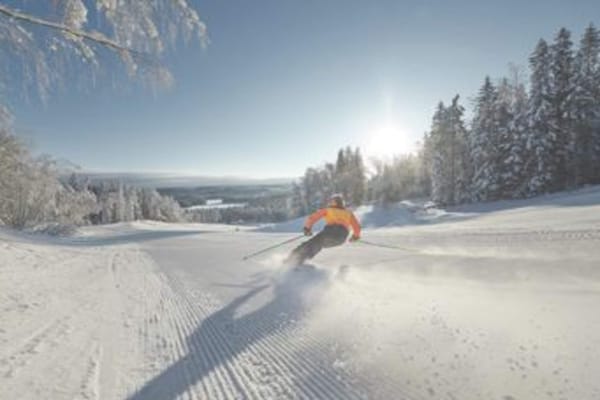 Foto van 4 sterren vakantie huis in NISSAFORS - Vakantiehuis in NISSAFORS - Untagged