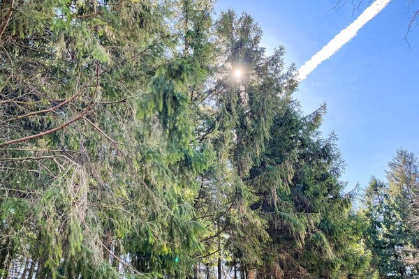 Foto van 4 Personen vakantie huis in Kvidinge - Vakantiehuis in Kvidinge - Outdoor