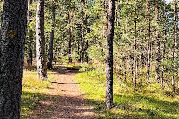 Foto van 4 Personen vakantie huis in YNGSJÖ - Vakantiehuis in YNGSJÖ - Untagged