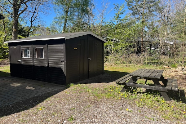 Foto van 4 sterren vakantie huis in Glesborg - Vakantiehuis in Glesborg - Outdoor