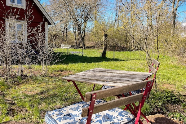 Foto van 3 Personen vakantie huis in BORGHOLM - Vakantiehuis in BORGHOLM - Outdoor