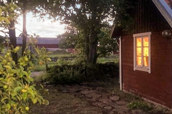 Foto van 3 Personen vakantie huis in BORGHOLM - Vakantiehuis in BORGHOLM - Outdoor