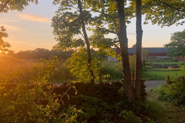 Foto van 3 Personen vakantie huis in BORGHOLM - Vakantiehuis in BORGHOLM - Outdoor