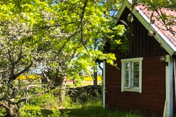 Foto van 3 Personen vakantie huis in BORGHOLM - Vakantiehuis in BORGHOLM - Outdoor