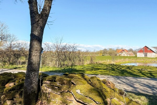 Foto van 3 Personen vakantie huis in BORGHOLM - Vakantiehuis in BORGHOLM - Untagged