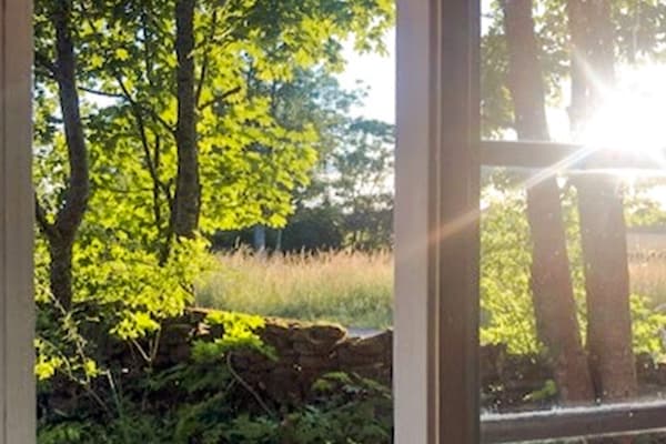 Foto van 3 Personen vakantie huis in BORGHOLM - Vakantiehuis in BORGHOLM - Outdoor