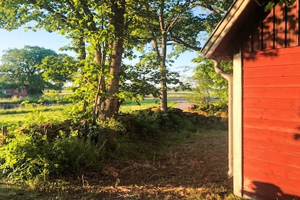 Foto van 3 Personen vakantie huis in BORGHOLM - Vakantiehuis in BORGHOLM - Outdoor