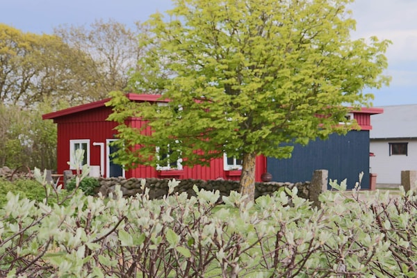 Foto van 4 sterren vakantie huis in VARBERG - Vakantiehuis in VARBERG - Outdoor