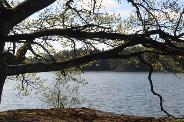 Foto van 3 Personen vakantie huis in MALMKÖPING - Vakantiehuis in MALMKÖPING - Outdoor