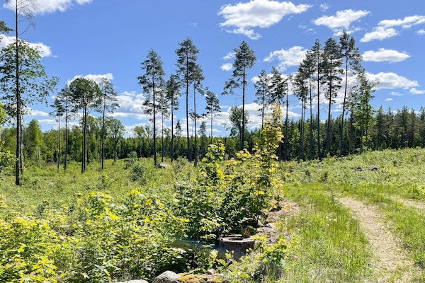 Foto van 5 Personen vakantie huis in Ruda - Vakantiehuis in Ruda - Outdoor
