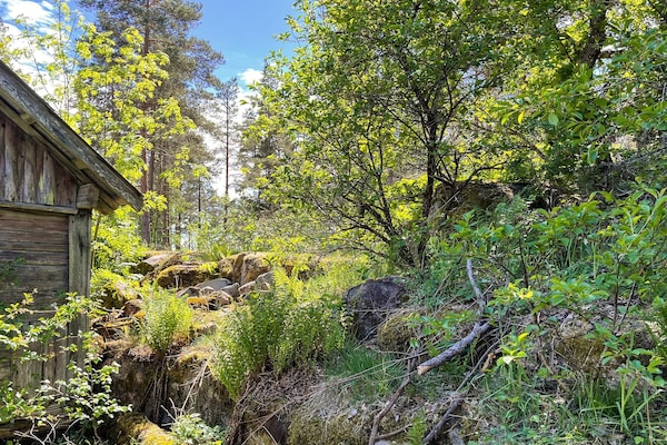Foto van 5 Personen vakantie huis in Kristdala - Vakantiehuis in Kristdala - Outdoor