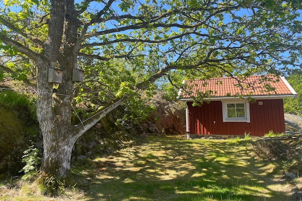 Foto van 4 sterren vakantie huis in ELLÖS - Vakantiehuis in ELLÖS - Outdoor