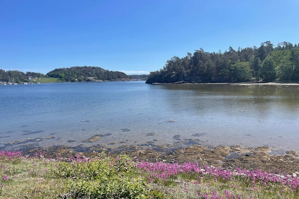 Foto van 4 sterren vakantie huis in ELLÖS - Vakantiehuis in ELLÖS - Outdoor