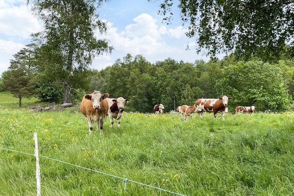 Foto van 4 Personen vakantie huis in ANEBY - Vakantiehuis in ANEBY - Untagged