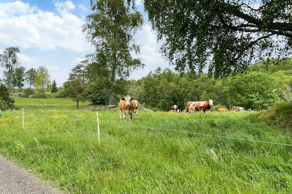 Foto van 4 Personen vakantie huis in ANEBY - Vakantiehuis in ANEBY - Untagged
