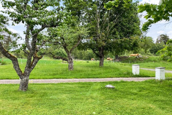 Foto van 4 Personen vakantie huis in ANEBY - Vakantiehuis in ANEBY - Outdoor