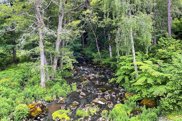 Foto van 3 Personen vakantie huis in FJÄRDHUNDRA - Vakantiehuis in FJÄRDHUNDRA - Untagged
