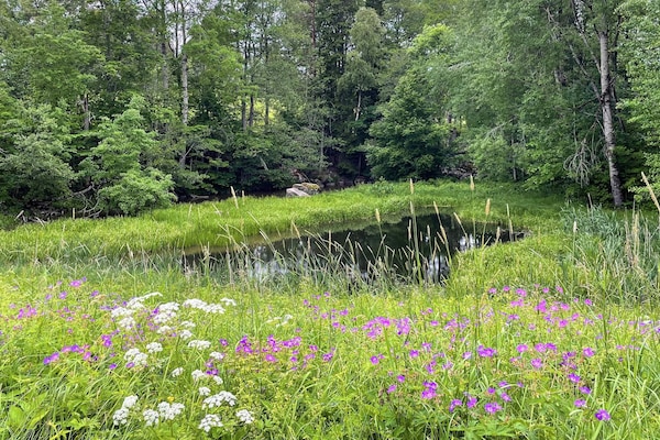 Foto van 3 Personen vakantie huis in FJÄRDHUNDRA - Vakantiehuis in FJÄRDHUNDRA - Untagged