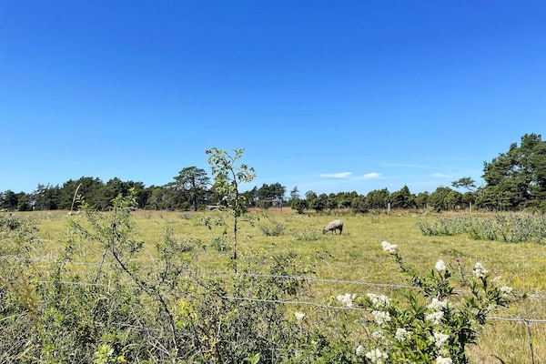 Foto van 4 sterren vakantie huis in Fårö - Vakantiehuis in Fårö - Outdoor
