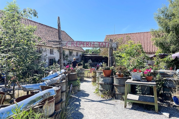Foto van 4 sterren vakantie huis in Fårö - Vakantiehuis in Fårö - Untagged