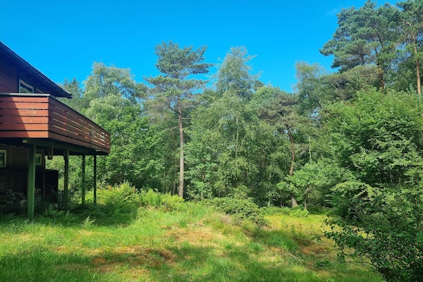 Foto van 6 Personen vakantie huis in hommersåk - Vakantiehuis in hommersåk - Outdoor