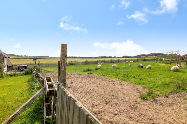 Foto van 4 Personen vakantie huis in Snedsted - Vakantiehuis in Snedsted - Outdoor