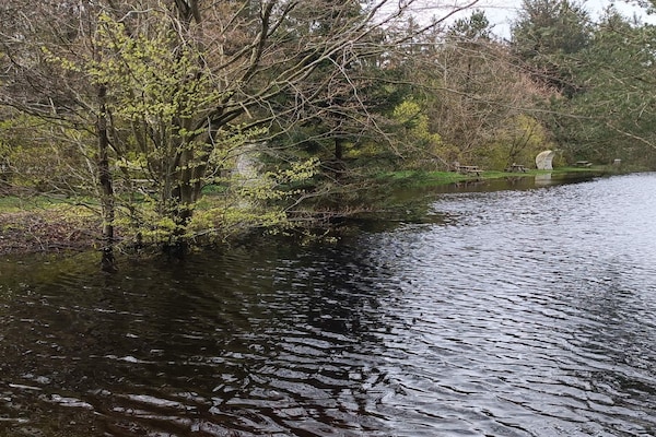 Foto van 4 persoons vakantie huis in Oksbøl-By Traum - Vakantiehuis in Oksbøl - WaterView