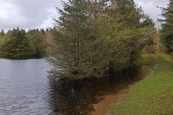Foto van 4 persoons vakantie huis in Oksbøl-By Traum - Vakantiehuis in Oksbøl - WaterView