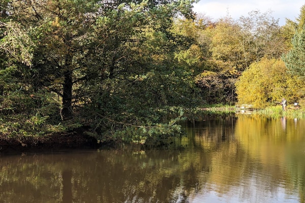 Foto van 4 persoons vakantie huis in Oksbøl-By Traum - Vakantiehuis in Oksbøl - WaterView