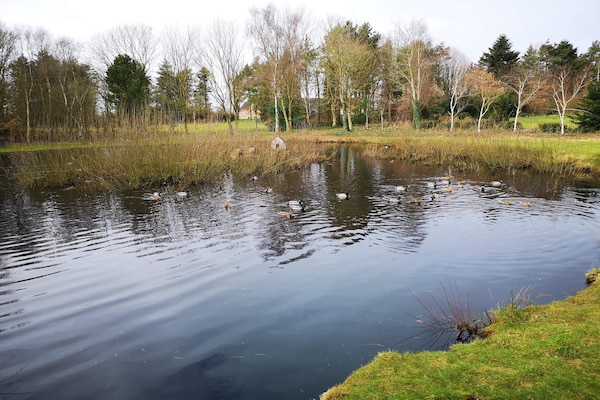 Foto van 4 persoons vakantie huis in Oksbøl-By Traum - Vakantiehuis in Oksbøl - WaterView