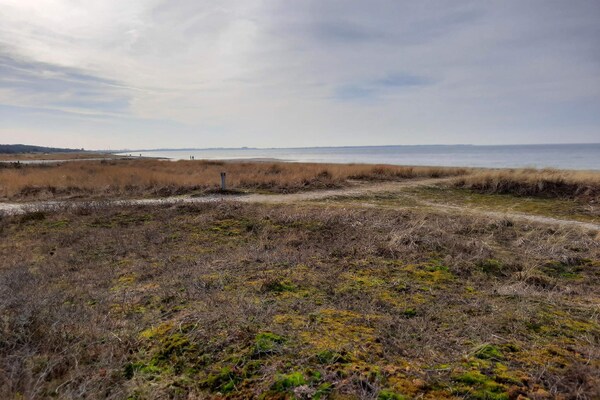 Foto van 6 persoons vakantie huis in Store Fuglede - Vakantiehuis in Store Fuglede - Untagged