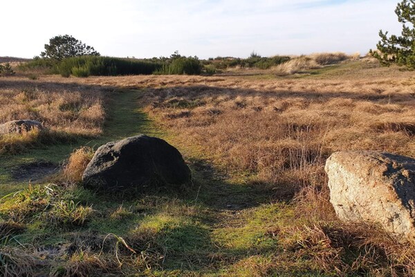 Foto van 6 persoons vakantie huis in Store Fuglede - Vakantiehuis in Store Fuglede - Untagged