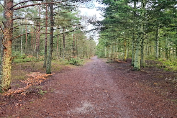 Foto van Rustig toevluchtsoord in de natuur, Albaek - Vakantiehuis in Ålbæk - Untagged