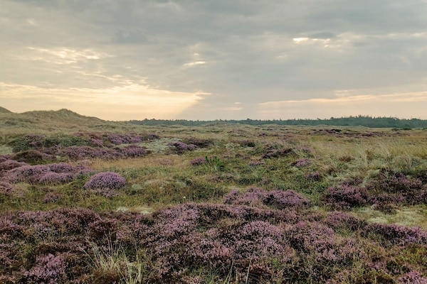Foto van Rustig toevluchtsoord in de natuur, Albaek - Vakantiehuis in Ålbæk - Untagged