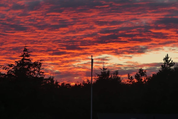 Foto van Rustig toevluchtsoord in de natuur, Albaek - Vakantiehuis in Ålbæk - Untagged