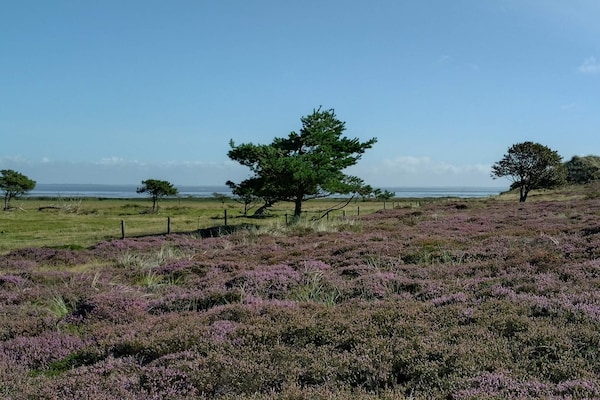 Foto van 4 persoons vakantie huis in Fanø-By Traum - Vakantiehuis in Fanø - Untagged