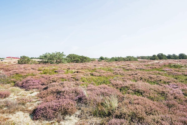 Foto van 4 persoons vakantie huis in Fanø-By Traum - Vakantiehuis in Fanø - View