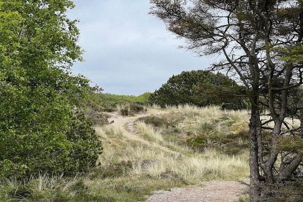 Foto van 4 persoons vakantie huis in Fanø-By Traum - Vakantiehuis in Fanø - Untagged